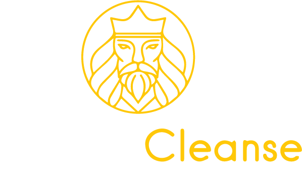Master Cleanse Forum