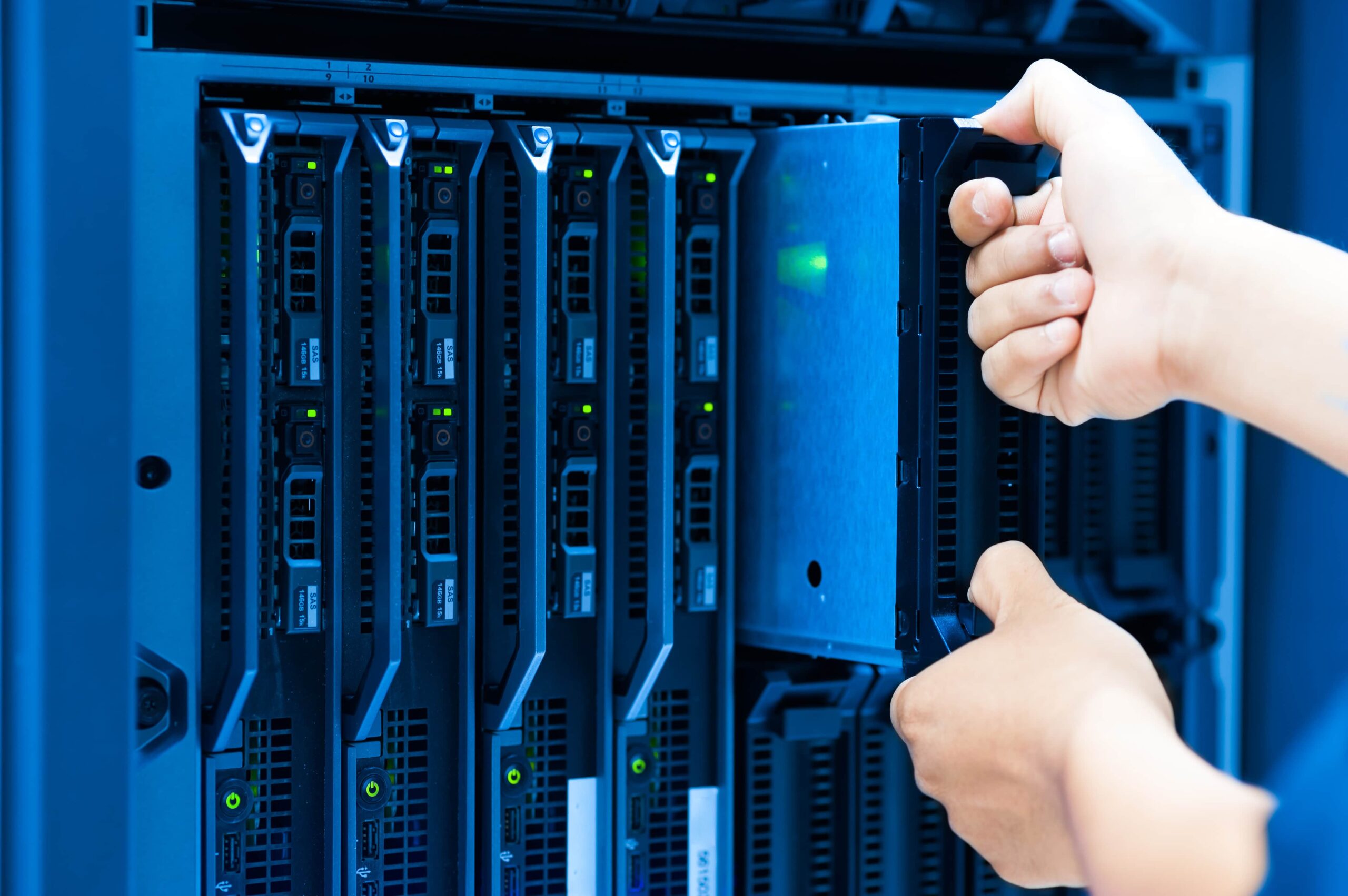 Content Removal Services